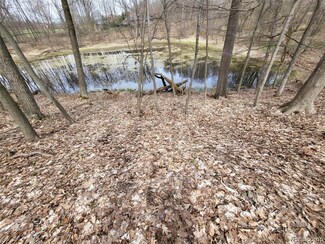 0000 Duana Dr, Milford, MI 48380