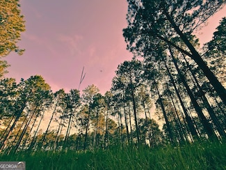 1172 Indigo Rd, Metter, GA 30439
