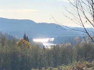 0 Flynn Rd Unit 1596980, Mossyrock, WA 98564