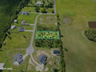 229 Edge Hill Rd, Wewahitchka, FL 32465