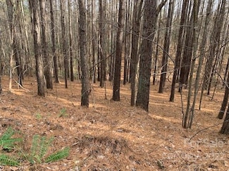 0 Chasewood Dr Unit 16, Rutherfordton, NC 28139