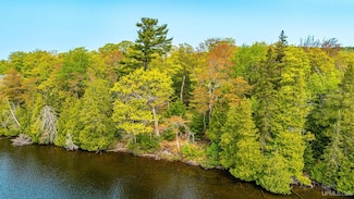 TBD 4a and 4b Frimodig Rd, Eagle Harbor Township, MI 49950