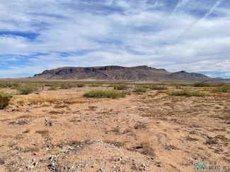 XXXX Stirrup Rd SE, Deming, NM 88030