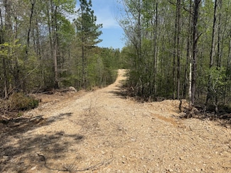 000 Fowler Rd, Beech Bluff, TN 38313
