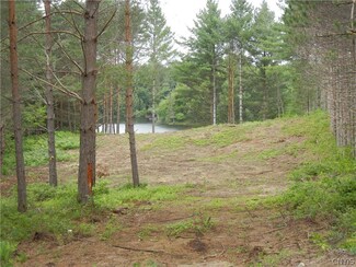5118 Eagle Dr, Greig, NY 13345