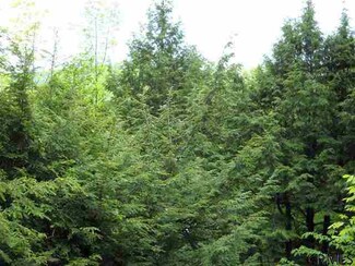 75 Club Rd, Windham, NY 12496