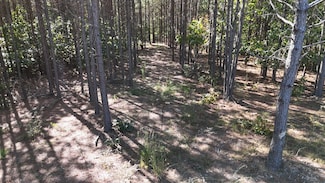 111 Hillbrook Dr, Hohenwald, TN 38462