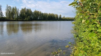 54954 S Salmon Run Rd, Willow, AK 99688