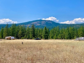 32 Tipton Rd, Kettle Falls, WA 99141