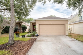 6207 Kiteridge Dr, Lithia, FL 33547