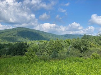 225 Red Maple Rd, Mechanicstown, NY 10940