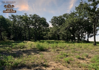 Lot 61 Kamden, Springtown, TX 76082