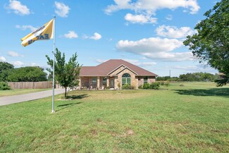 169 Savannah Dr, Brock, TX 76087