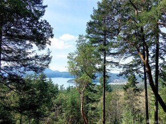 0 Buck Mountain Rd Unit 1094397, Eastsound, WA 98245