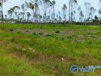 Lots 20 & 21 County Road 91, Gaylesville, AL 35973