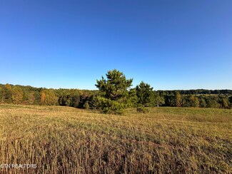 12.48 Ac Nichol Creek Dr, Jamestown, TN 38556