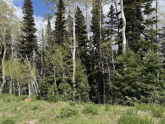 695 W Hunter Ridge Dr, Brian Head, UT 84719