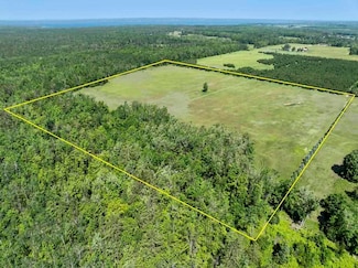 2720 Whiting Rd, Aloha Township, MI 49721