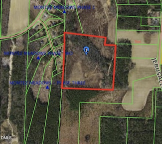 0 Junior Rd, O'Neals, NC 27542