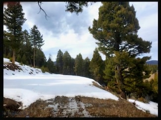 TBD Copper Cross #3969 Moffet Gulch Rd, Divide, MT 59743