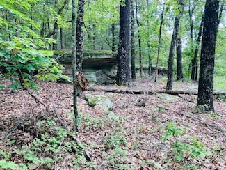 0 Dwelle Rd, North Fork Township, AR 72658