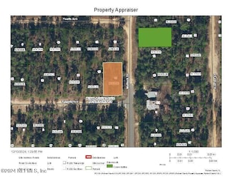 00 Mattock St, Interlachen, FL 32148