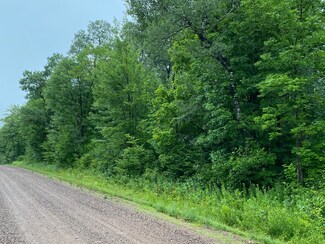 ON Joe Snow Rd, Merrill, WI 54452