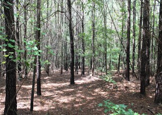 0 County Road 69 Unit 153507, Auburn, AL 36803