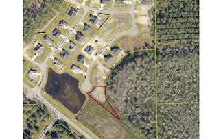 TBD NW Turkey Run Ct Lot 1, Lake City, FL 32055