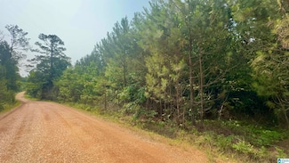 0 Valley Rd Unit 21420815, Goodwater, AL 35072