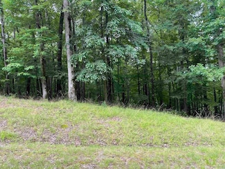 1016 Arlington Point, Hot Springs, AR 71913