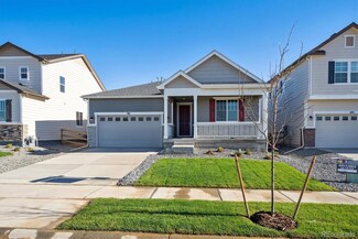 981 Sandhills St, Windsor, CO 80550