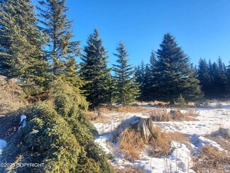 17466 Chefornak St, Happy Valley, AK 99639