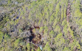 0 Rock Island Rd Unit 124793, Perry, FL 32347