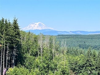 520 Red Hawk Dr, Castle Rock, WA 98611