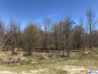 TBD Summer Ln, Bennettsville, SC 29512