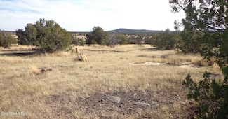00 N Trackside Trail 211 Ln, Ash Fork, AZ 86320