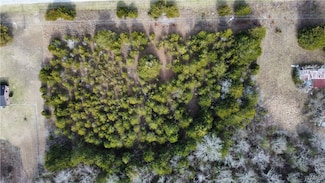 0 Old Hwy 80, Faunsdale, AL 36738