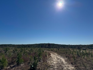 0 Aspalaga Rd, Chattahoochee, FL 32324