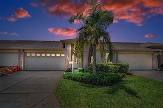 12136 Arron Terrace, Trinity, FL 34655