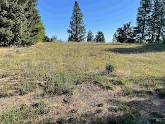 NKA Ponderosa Drive Lot 2, Potlatch, ID 83855