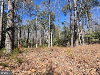0 Mutiny Dr, Captains Cove, VA 23356