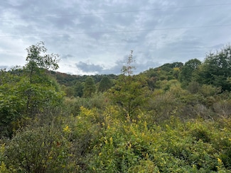 213 Patterson Creek Rd, Alderson, WV 24910