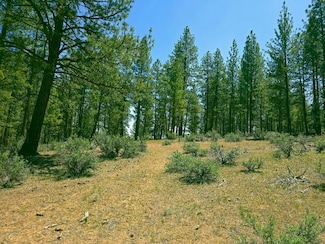 0 Elde St Unit 20, Chiloquin, OR 97624