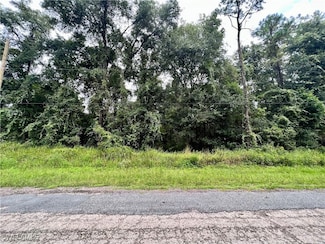 303 W Eridani Ct, Citrus Springs, FL 34434