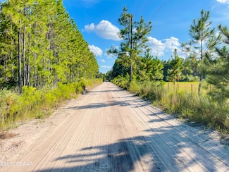 0 Durrance Ln Unit 1220142, Ormond Beach, FL 32174