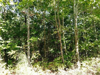 0 Gray Fox Ln Unit RTC1762373, Nunnelly, TN 37137