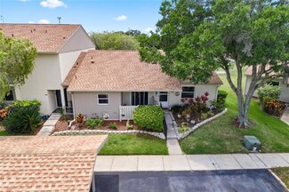 40 Poole Place, Oldsmar, FL 34677