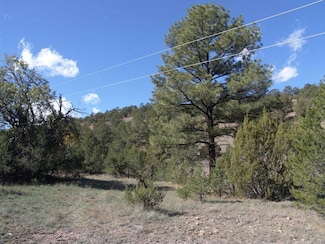 Lot 88 Ranch Road-Tee Pee Ranch, Datil, NM 87821