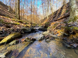 0 Frozen Hollow Rd Unit 22455693, Carbon Hill, AL 35549